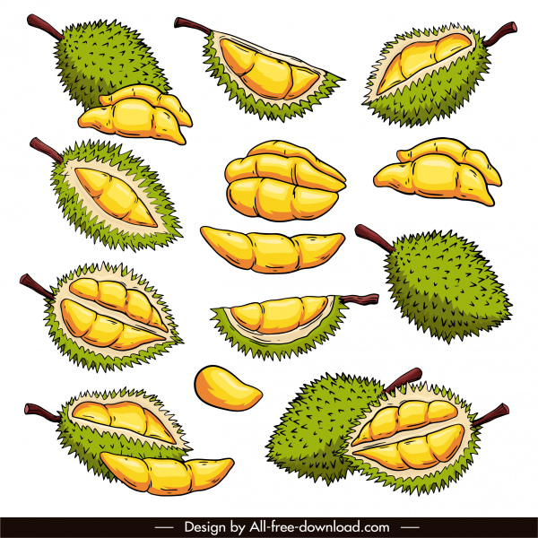 durian fruit icons colored classic handdrawn sketch