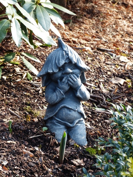 dwarf gnome kobold