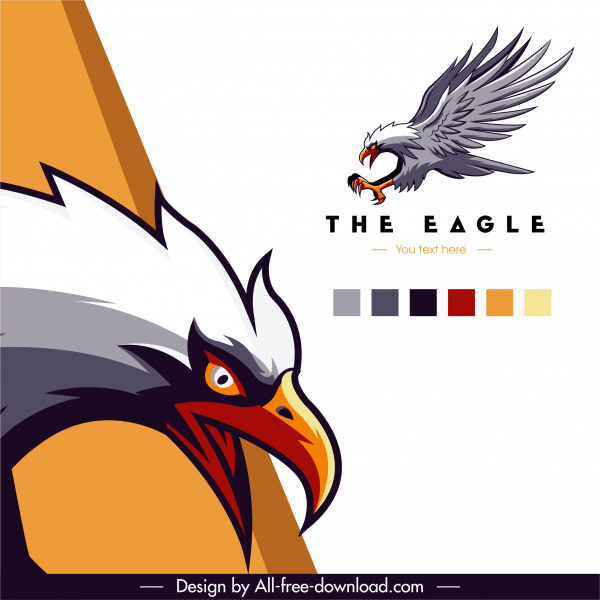 eagle advertising background colorful flat dynamic sketch