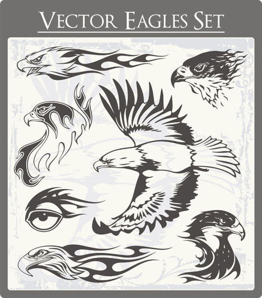Eagle free vector download (449 Free vector) for commercial use. format