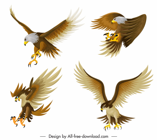 eagle icons hunting gestures sketch colored cartoon design