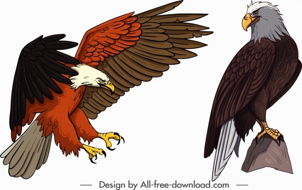 eagle icons hunting perching gesture sketch cartoon design