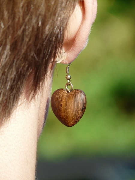 earring wood earring wood jewelry