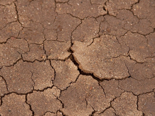 earth dry dehydrated