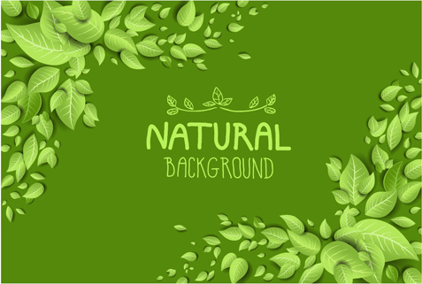 eco style beautiful natural background vector