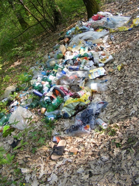 ecology forest garbage