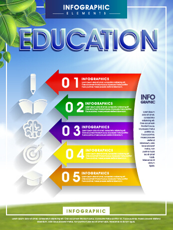 education and teaching business infographics vector