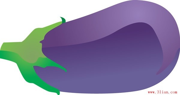 eggplant vector