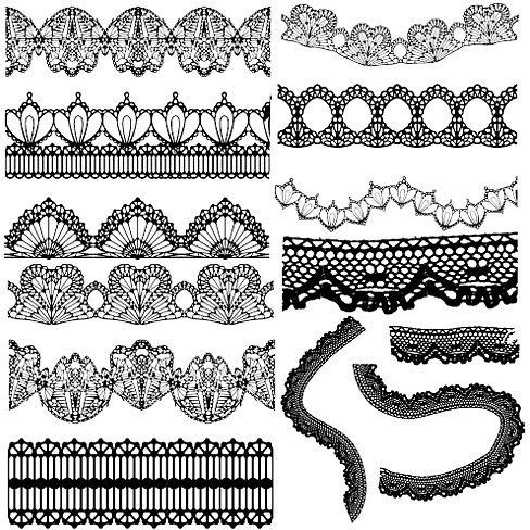 elegant black lace vector