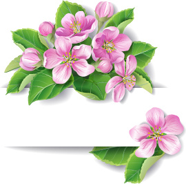 elegant pink flowers with paper background vector