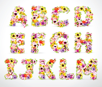 elements of colorful flower numbers and alphabet vector