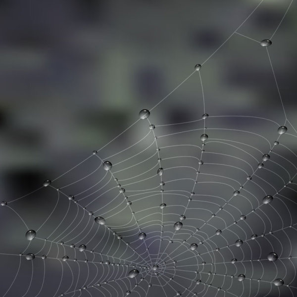 elements of dew and spider web vector