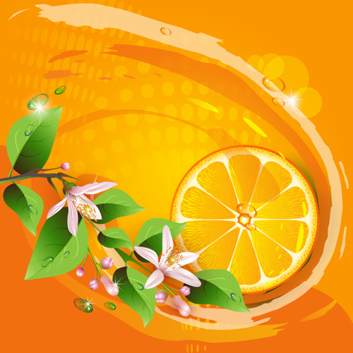 elements of lemon and flowers vector