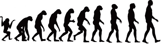 elements of process of human evolution vector
