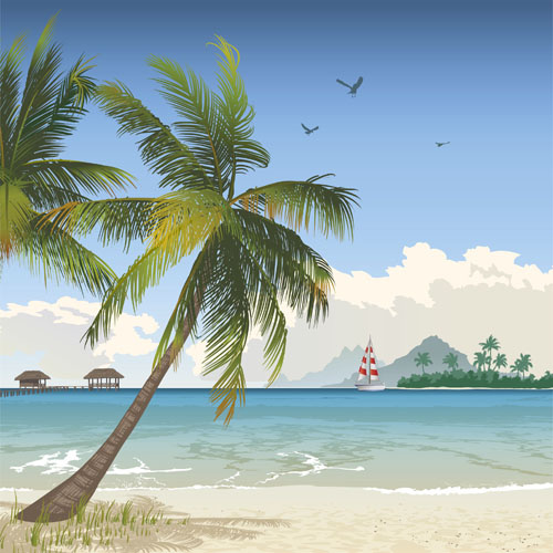 elements of tropical beach background vector art