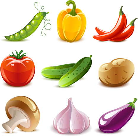 elements of various glossy fruit vector