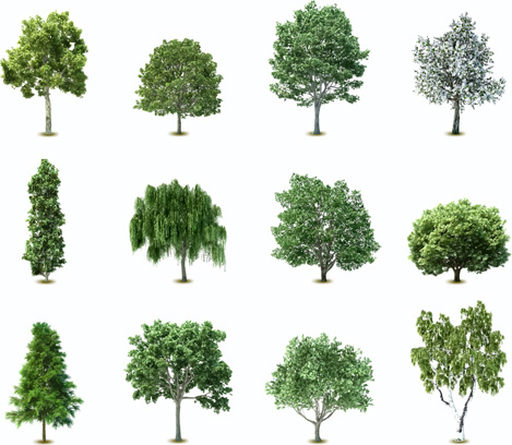 Elements of various trees vector Vectors graphic art designs in ...
