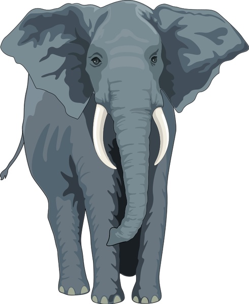 Free Free 253 Elephant Svg Free Download SVG PNG EPS DXF File