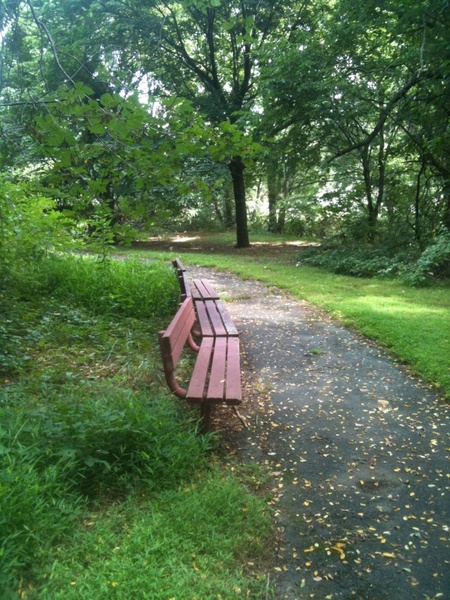 empty bench 