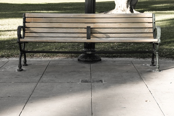 empty wooden park bench