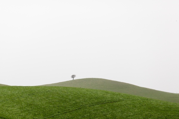 environment field fog golf grass grassland hill