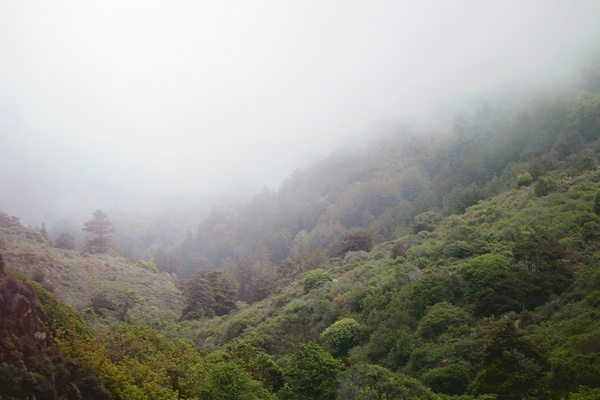 environment fog forest hill landscape lush mist