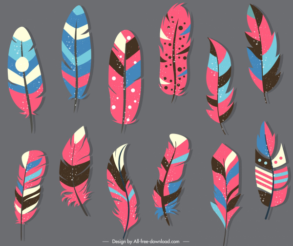 ethnic feathers icons colorful classic soft design