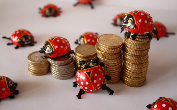 euro coins ladybug 