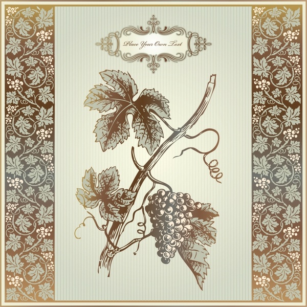 decorative cover template elegant classical grapes sketch