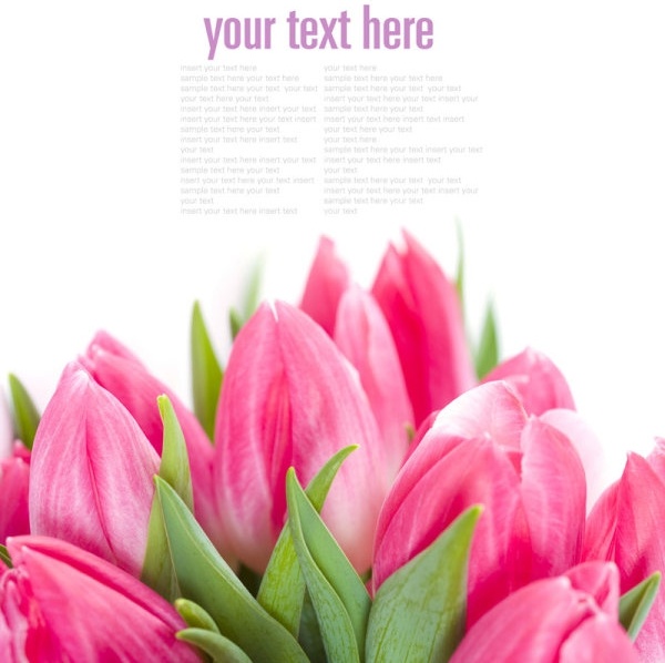 exquisite fresh flowers background 01 highdefinition picture