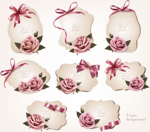 exquisite ribbon bow gift cards vector set
