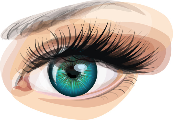 Download Eye realistic Free vector in Adobe Illustrator ai ( .ai ) vector illustration graphic art design ...