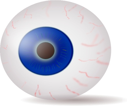 Eyeball Blue Realistic clip art