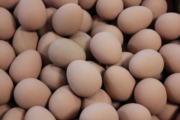 fake rubber eggs