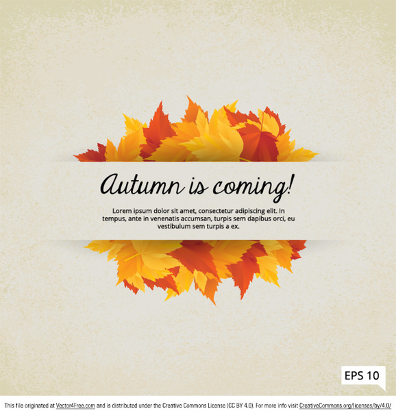 fall is coming leaves vector frame
