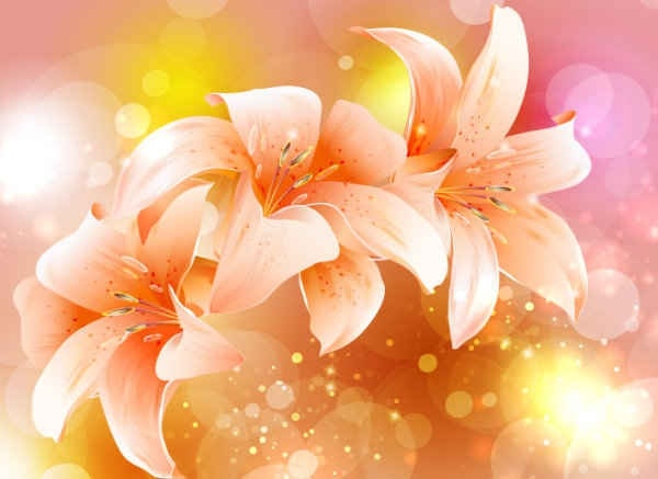 Fancy Colorful Flowers Pink Background