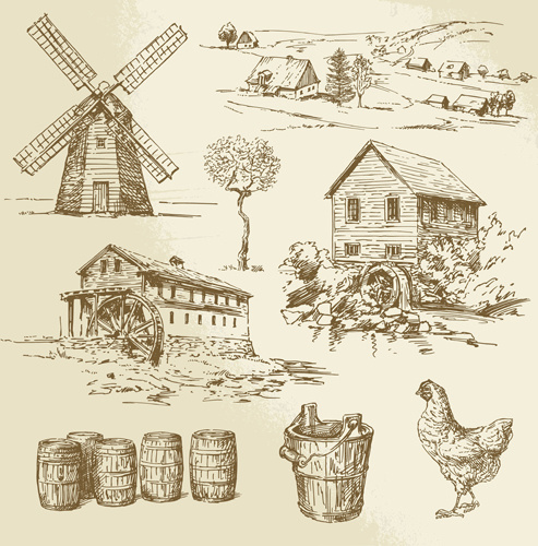 farm and poultry hand drawn vector