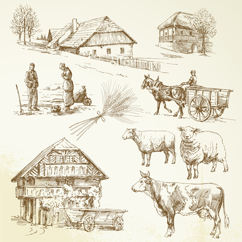 farm and poultry hand drawn vector
