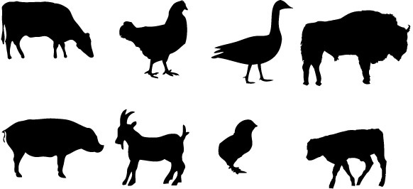 Farm animals Vector graphics