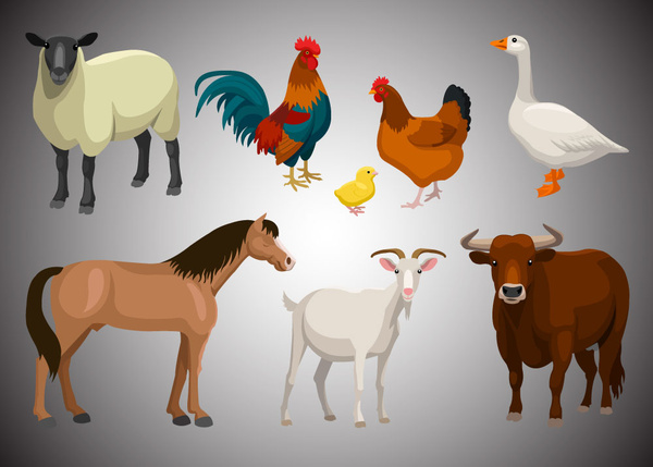 farm animals vintage set vector illustrations