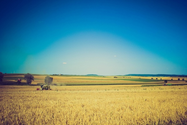 farm field hay landscape rural sky straw tractor