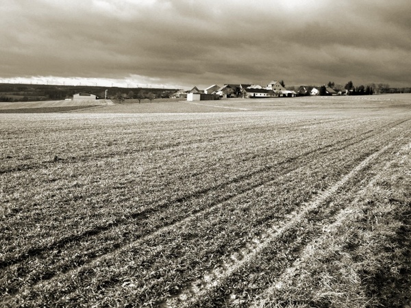 farm landscape rural