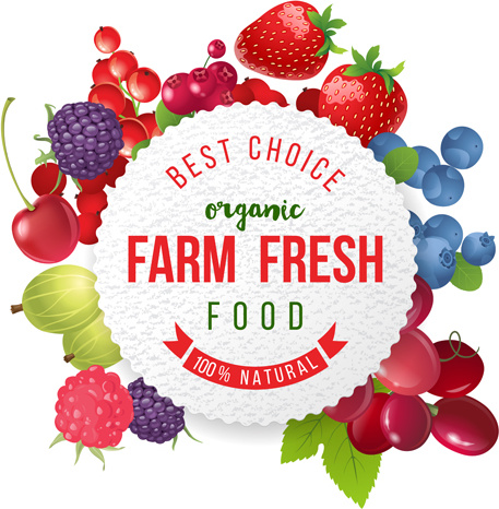 farm organic fruit background vector