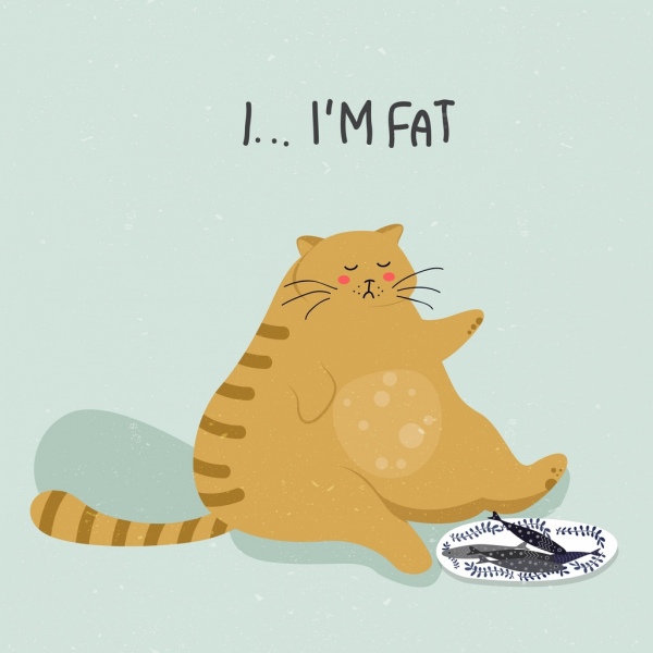 fat cat drawing colored carton design
