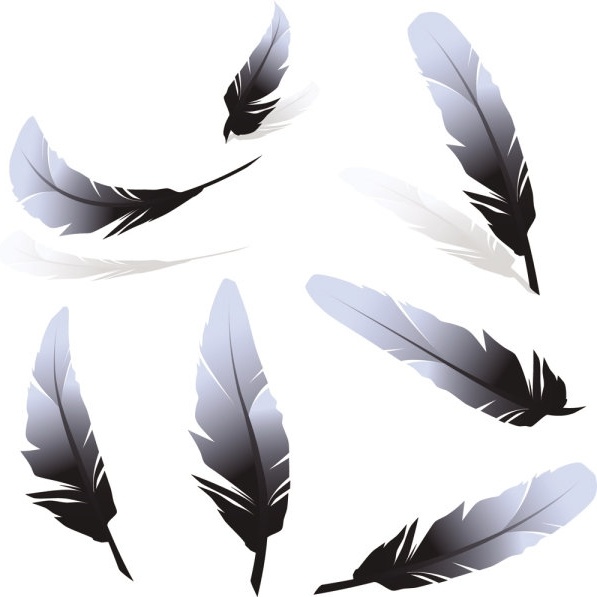 Download Feather vector free vector download (590 Free vector) for ...