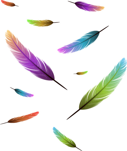 feather design elements vector illustration