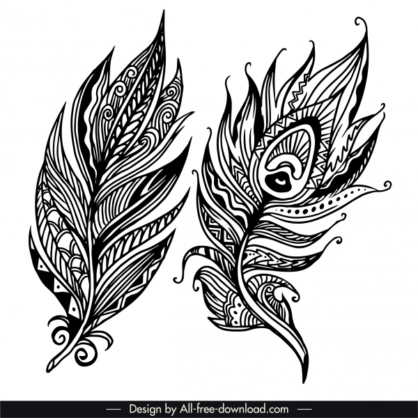 feather icons tribal decor black white classic handdrawn 