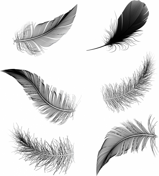 Download Feather pen Free vector in Adobe Illustrator ai ( .AI ...