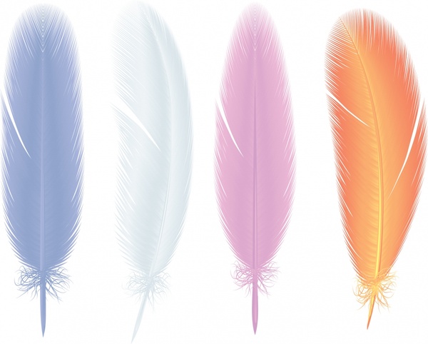 Download Feather free vector download (547 Free vector) for ...
