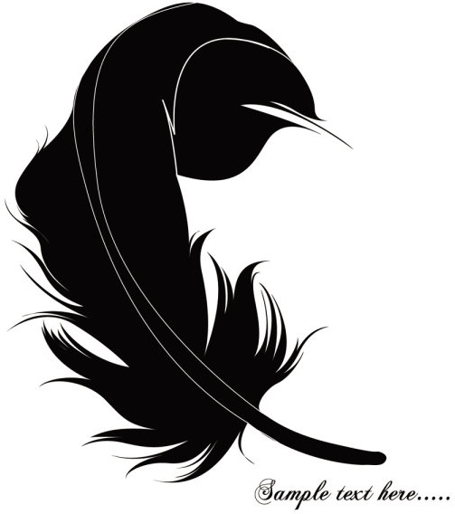 feathers_03_vector_161854